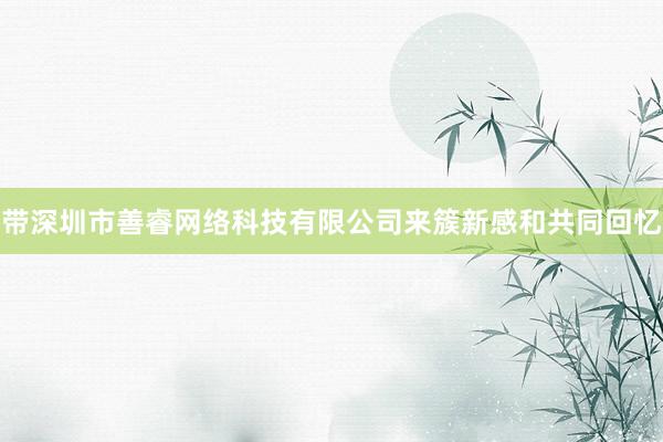带深圳市善睿网络科技有限公司来簇新感和共同回忆