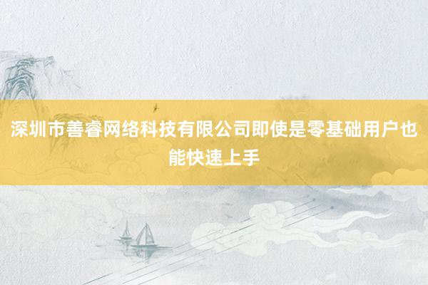 深圳市善睿网络科技有限公司即使是零基础用户也能快速上手