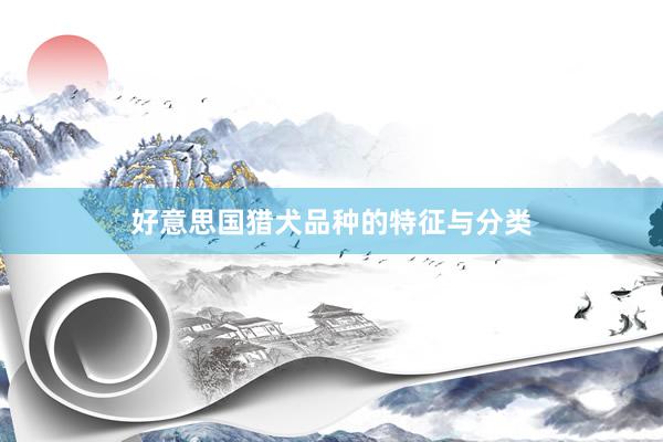 好意思国猎犬品种的特征与分类